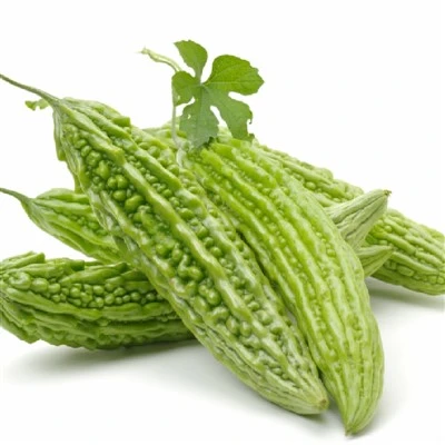 쓴 멜론 씨앗