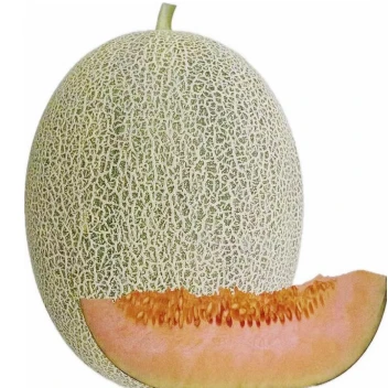 Semillas De Melón Híbrido De Maduración Media ME-027